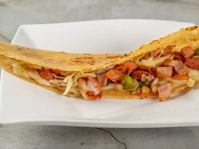Quesadillas with Meat — Tenoch Restaurant Grill & Bar